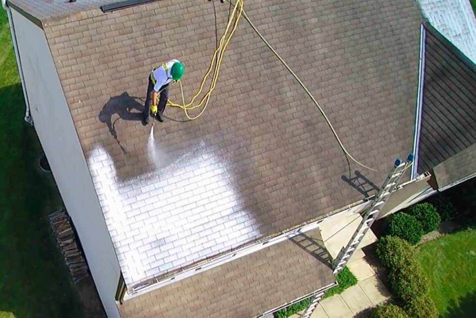 Roof Revitalizer